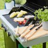 BARBECOOK Gas BBQ Spring 3112 - Image 7