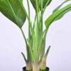 PLANTERS Artificial Green Traveller's Palm Plant 220 cm - Image 4