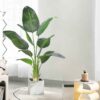 PLANTERS Artificial Green Traveller's Palm Plant 220 cm - Image 7