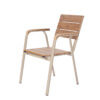 APK Chair Champagne Frame+TK Color Polywood  57x57