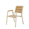 APK Chair Champagne Frame+TK Color Polywood 60x67