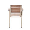 APK Chair Champagne Frame+TK Color Polywood  57x57 - Image 4