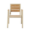 APK Chair Champagne Frame+TK Color Polywood 60x67 - Image 3