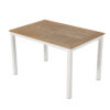 APK Table White Frame+TK Color Polywood 120x80