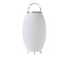 KOODUU HOLLAND Bluetooth Speaker, Wine Cooler&Lamp Synergy 65 PRO - Image 2