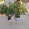PLANTERS Home & Garden Planter Φ38xH27.5cm (Leg H55.5cm) - Image 4