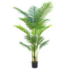 PLANTERS Areca Palm with Black Pot 160 cm