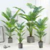 PLANTERS Areca Palm with Black Pot 210 cm - Image 6