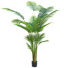PLANTERS Areca Palm with Black Pot 210 cm