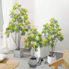 PLANTERS Artificial Cassia Flowering Tree 130 cm - Image 9