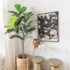 PLANTERS Artificial Fiddle Leaf Fig 160 cm - Image 5