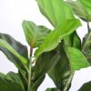 PLANTERS Artificial Fiddle Leaf Fig 160 cm - Image 3