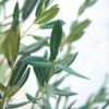 PLANTERS Artificial New Olive Tree 120 cm - Image 3
