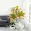 PLANTERS Croton Plant with Black Pot 60 cm - Image 6