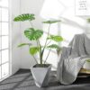 PLANTERS Monstera Plant with Black Pot 90 cm - Image 9
